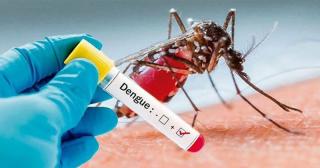 Dengue claims 2 lives, 22 hospitalised in 24hrs