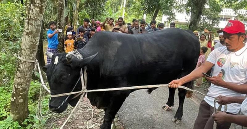 ‘কালো মানিক’ উপহার হিসেবে নেবেন না খালেদা জিয়া