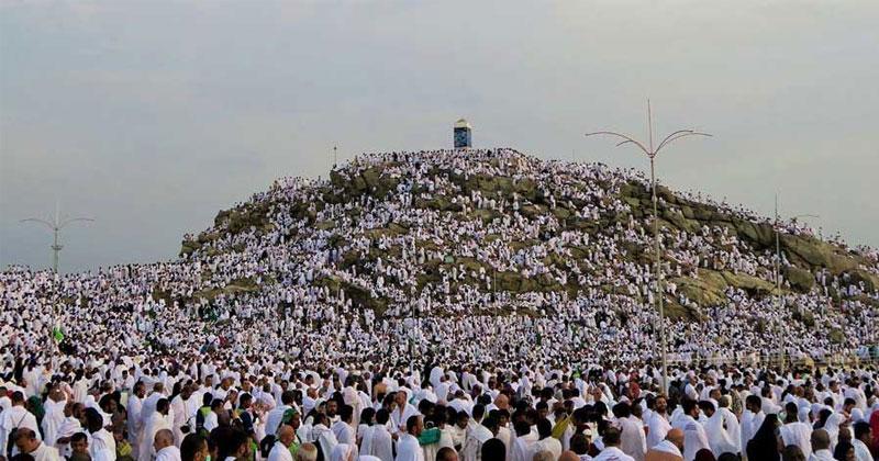Muslim pilgrims pray at Mount Arafat in hajj apex